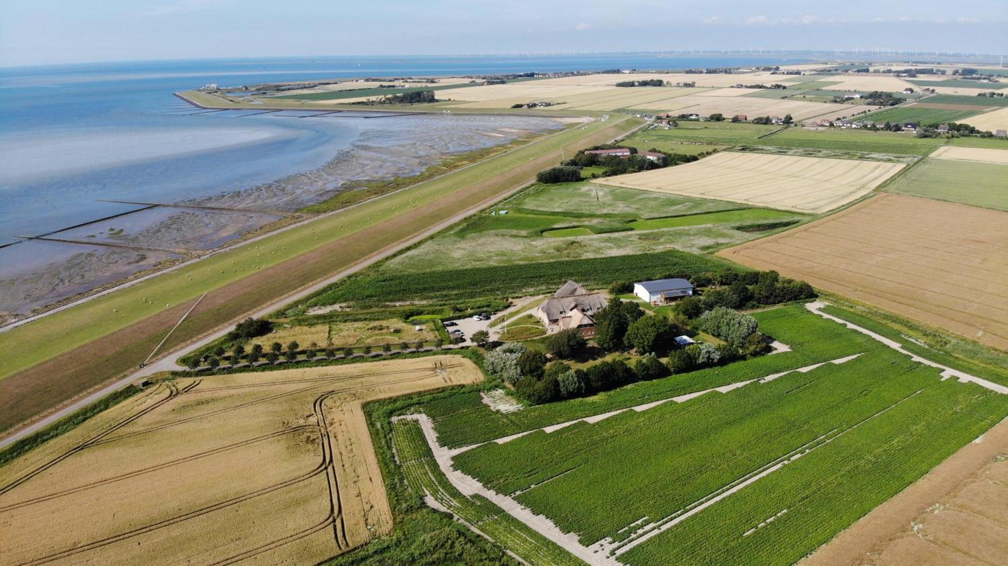 Graefinhof Nordstrand Exterior foto